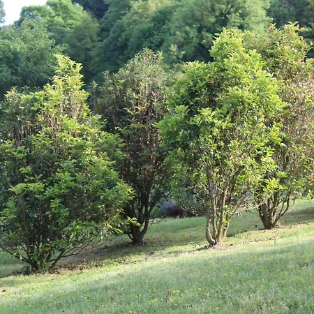 Lo Di Orio *